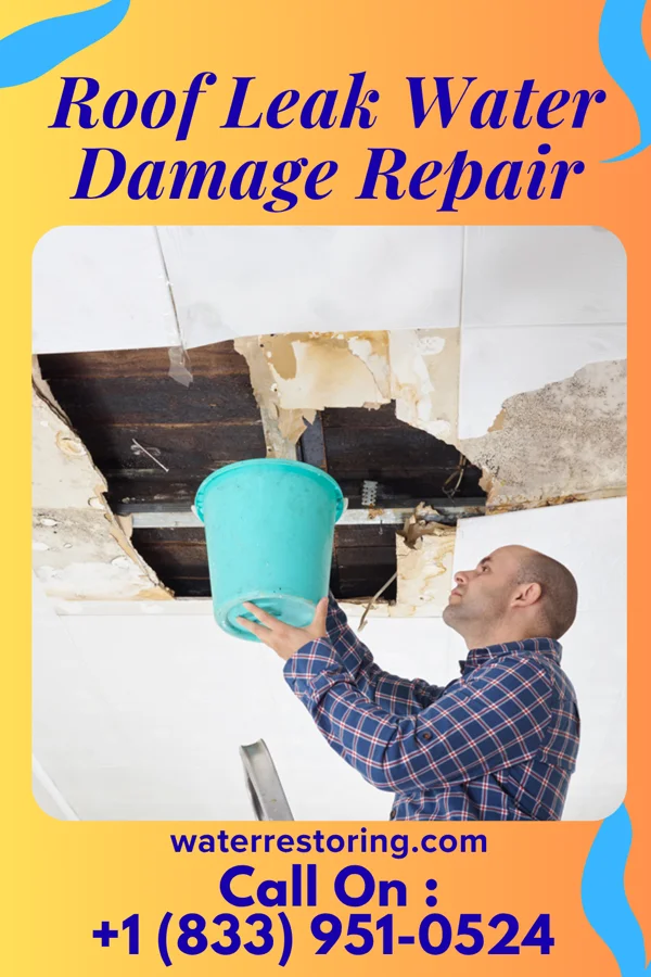 Roof Leak Water Damage Repair in Springport, IN