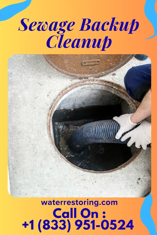 Sewage Backup Cleanup in Springport, IN